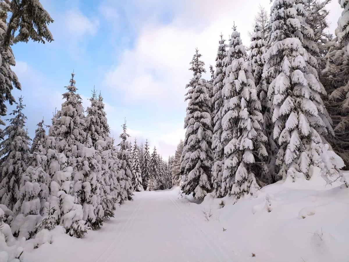 Apartment Harrachov/Riesengebirge 2400 Екстериор снимка